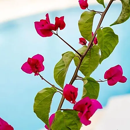 Tilos Apartmanhotel